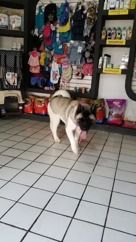 VETERINARIA NUPET