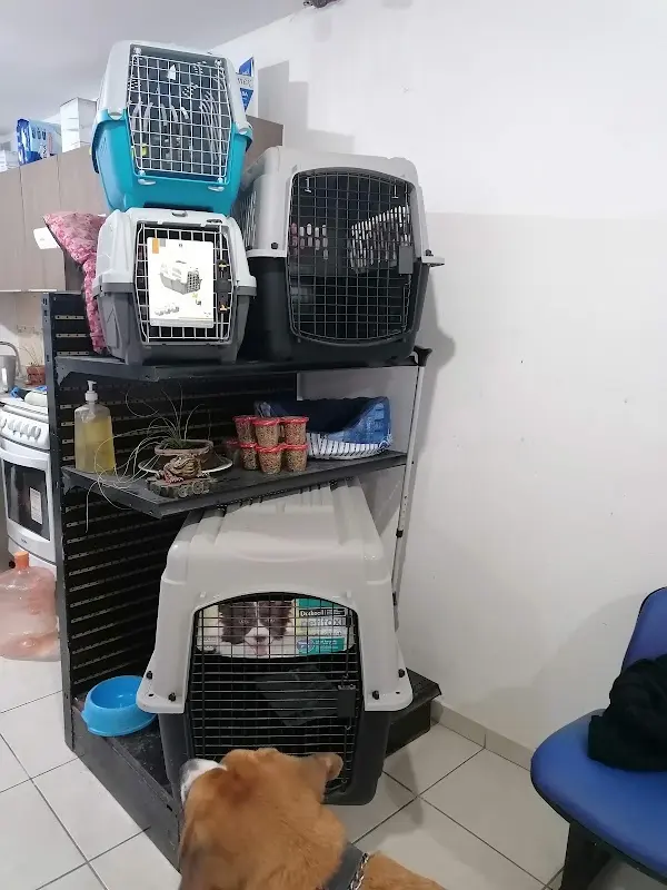 Pet's & Care