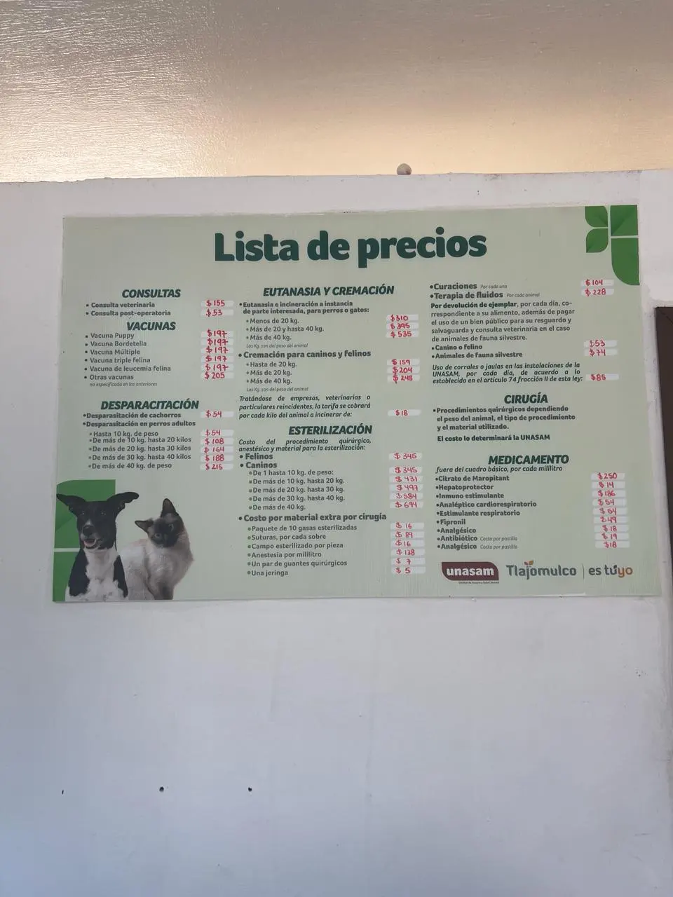 Dirección De Acopio Y Salud Animal — foto 3 de 3