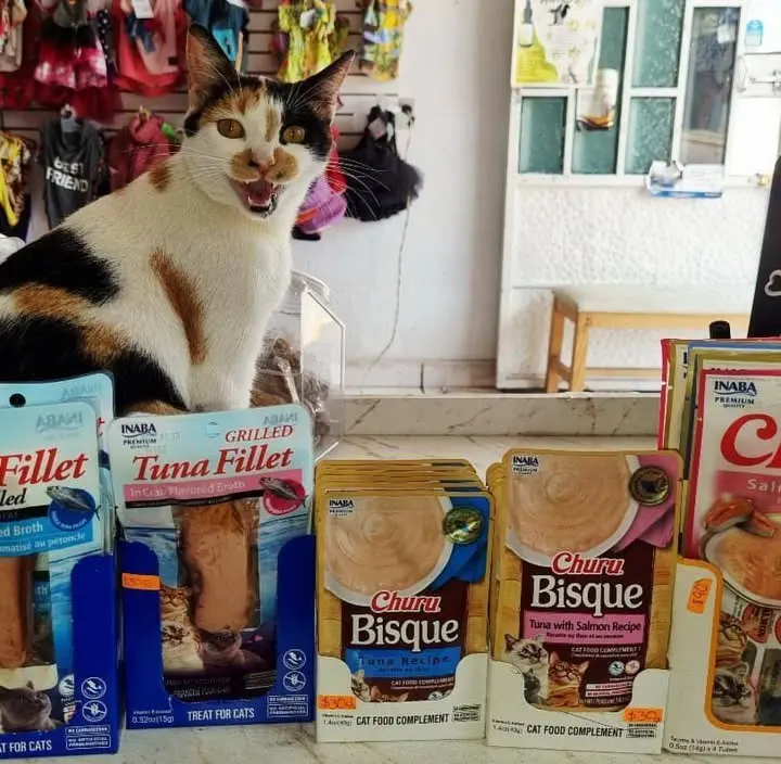 MiSusi mascotas