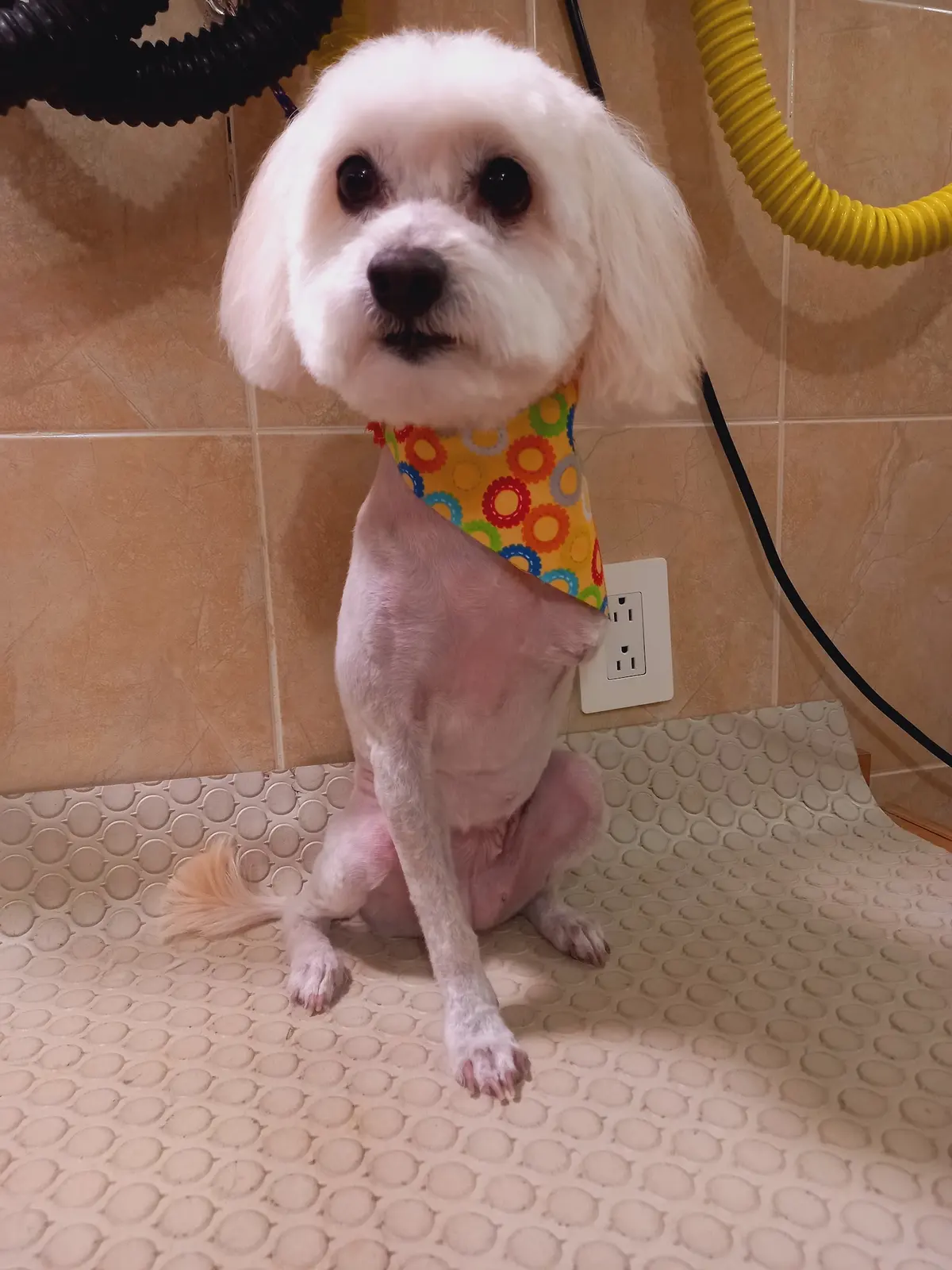 Clínica Veterinaria San Jose