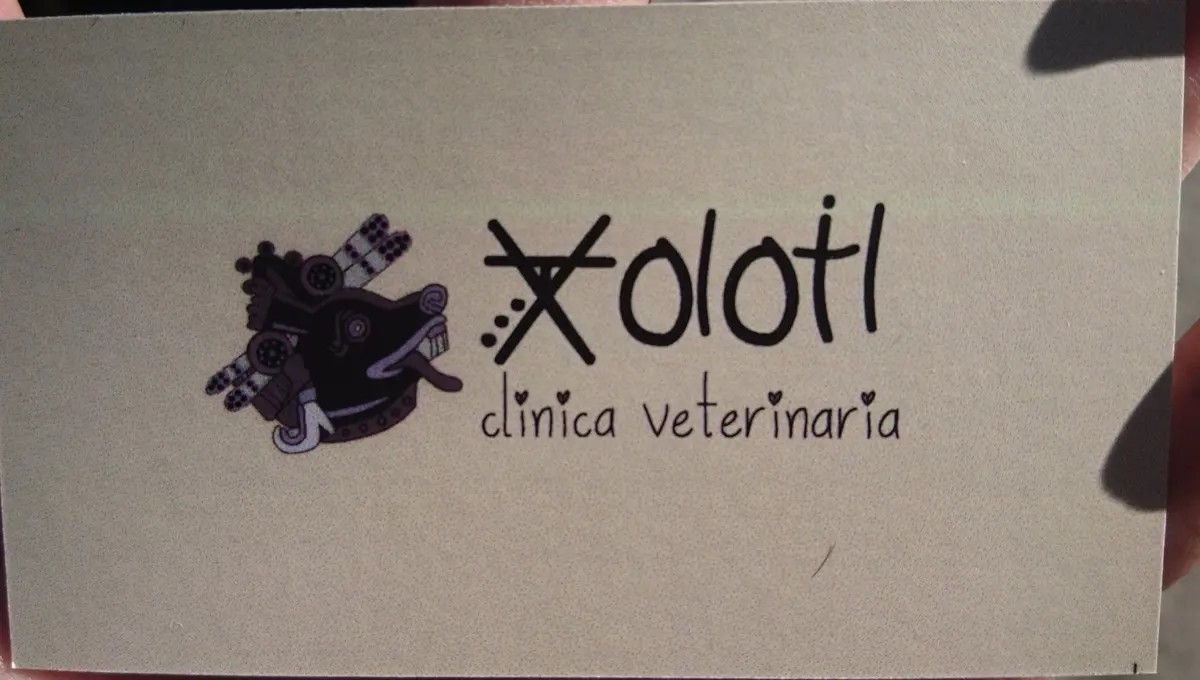 Veterinaria Xolotl