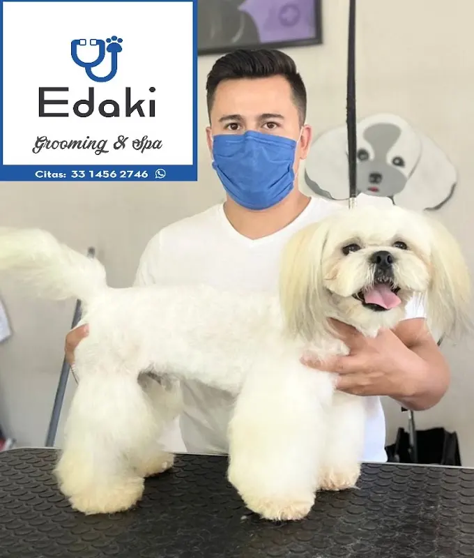 Edaki Clínica Veterinaria