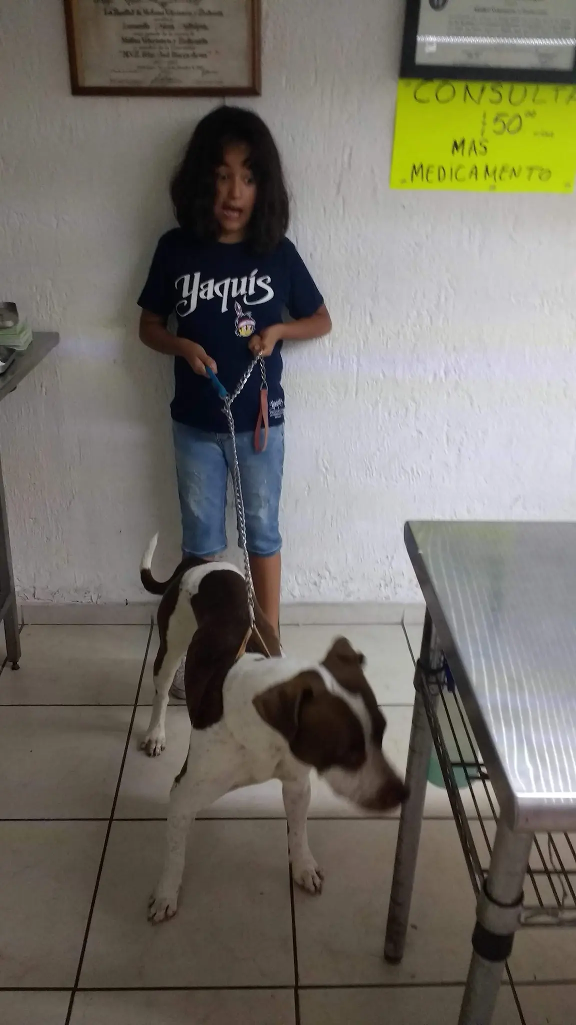 Tucanes Veterinaria