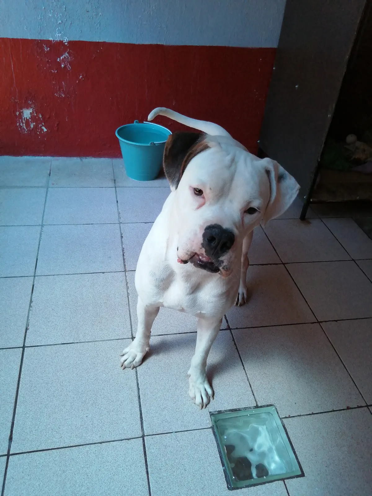 Veterinaria Estrella