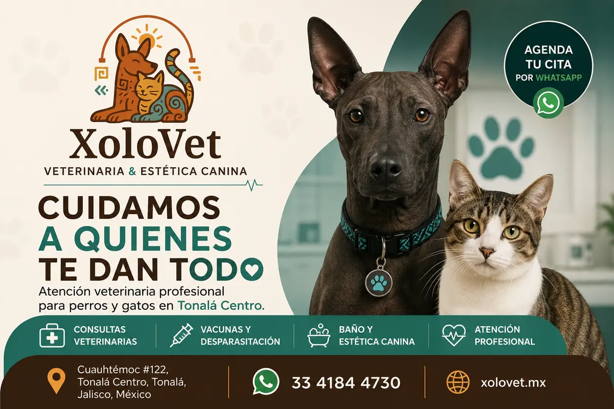 Veterinaria XoloVet