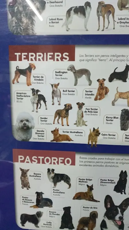 Veterinaria Rodriguez
