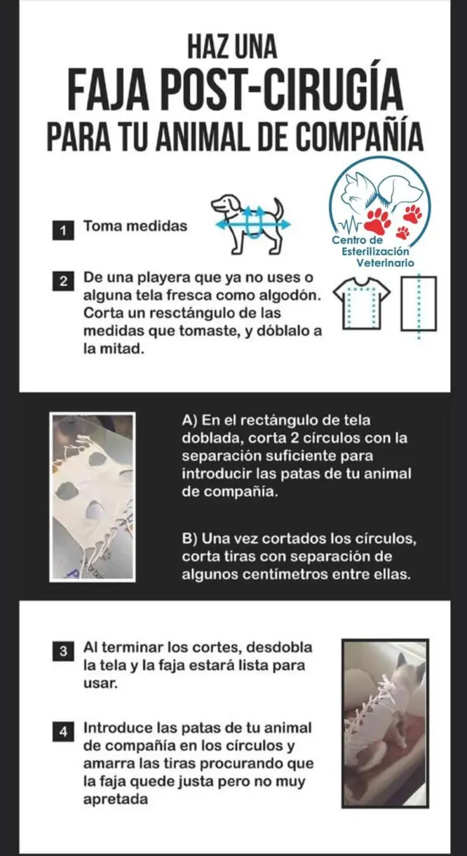 Centro de Esterilización Veterinario — foto 2 de 4