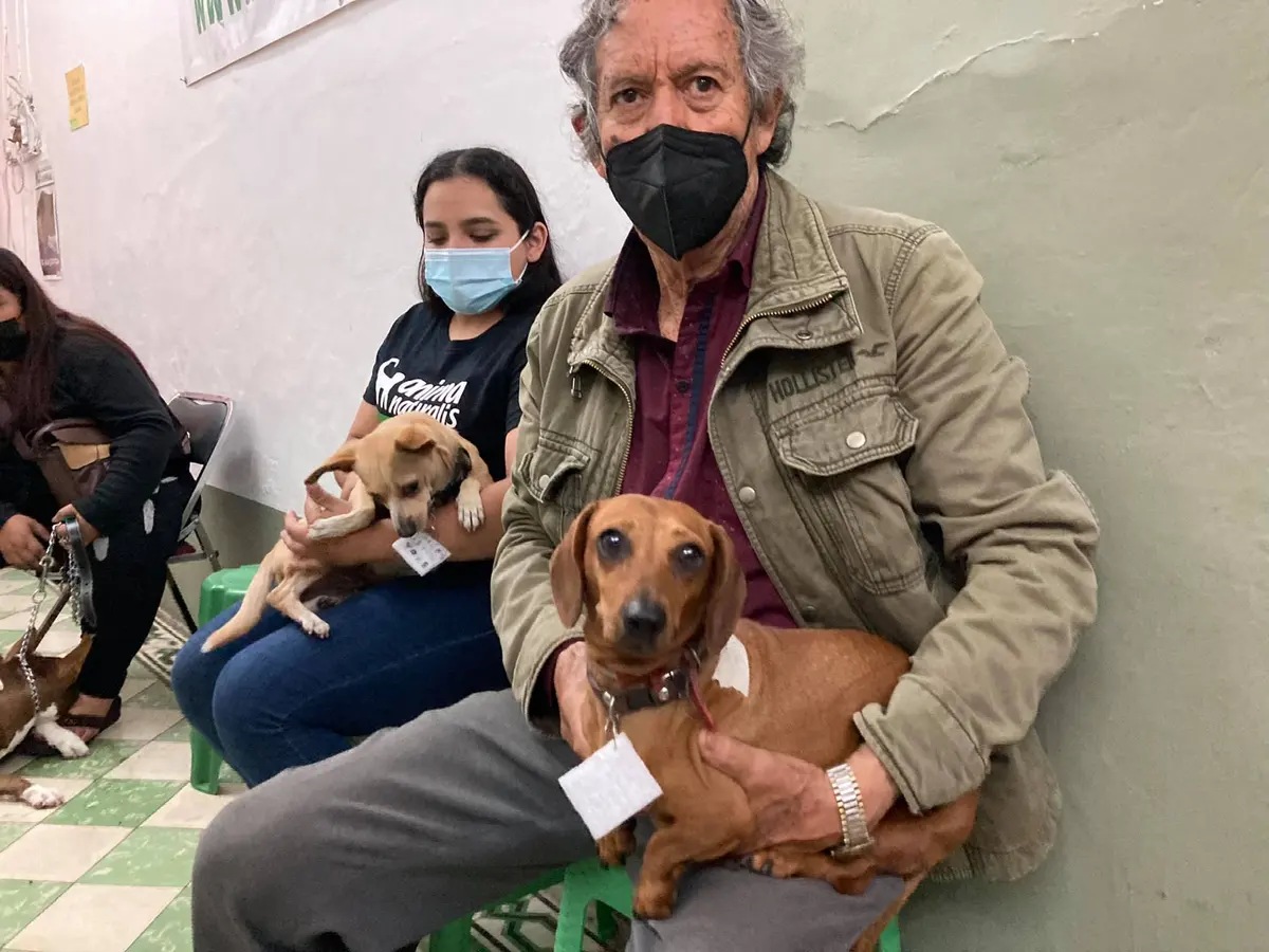 Centro de Esterilización Veterinario — foto 4 de 4