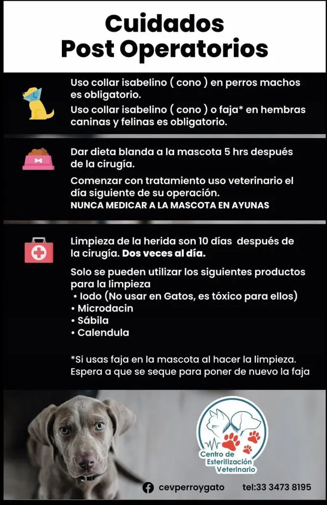 Centro de Esterilización Veterinario