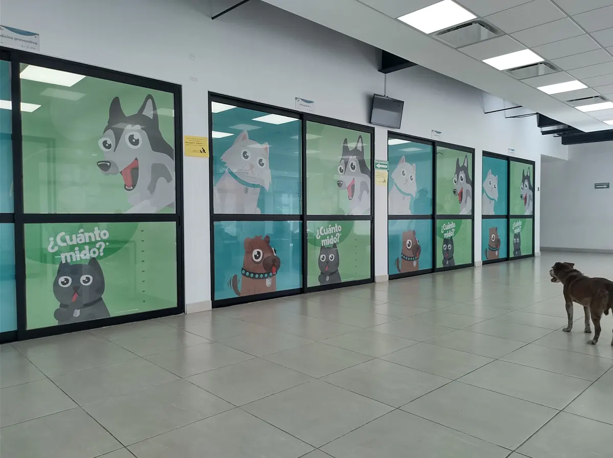 CISAZ (Centro Integral de Salud Animal Zapopan)