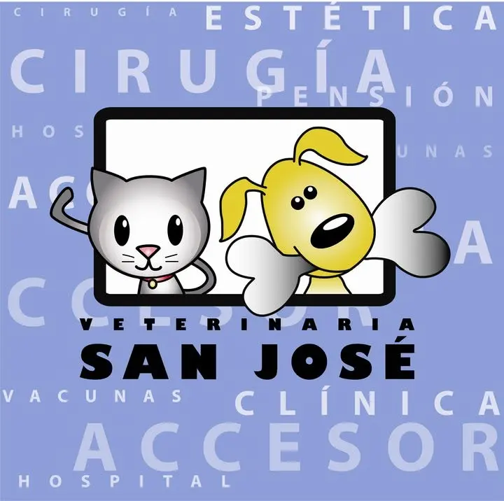 Hospital Veterinario San Jose Solares