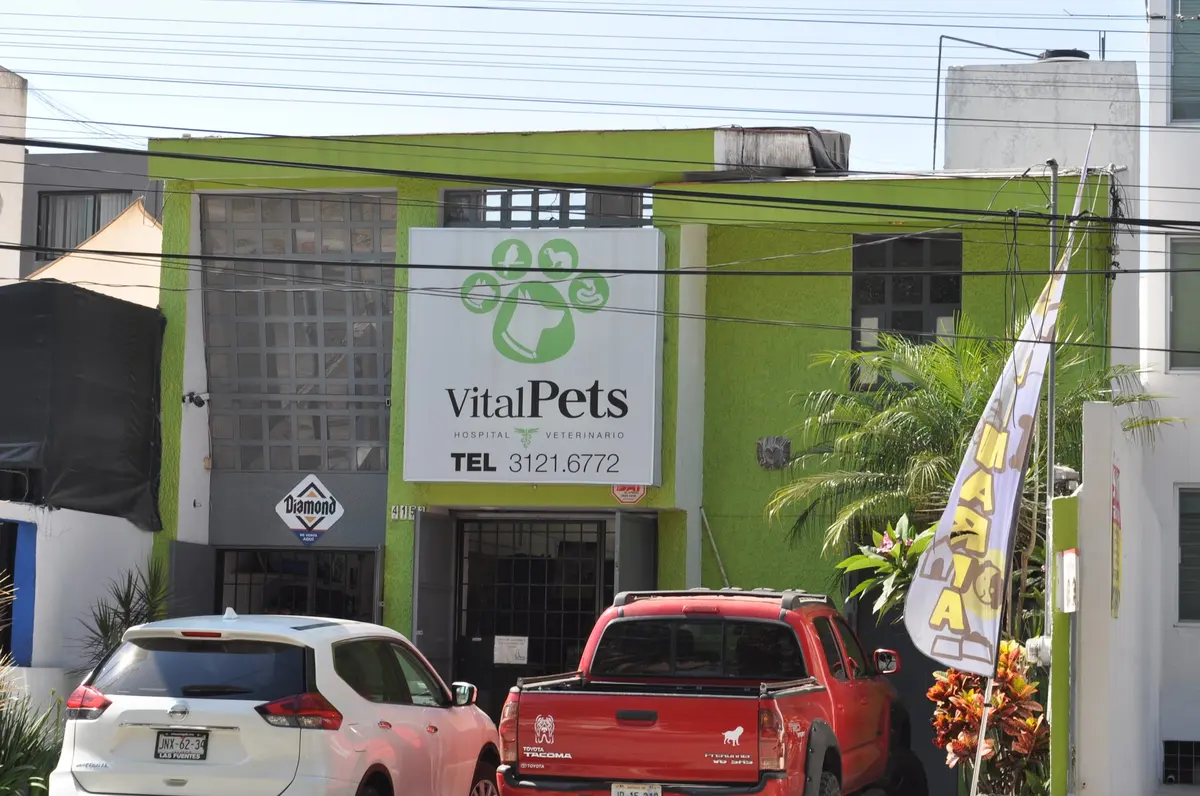 Hospital Veterinario VitalPets
