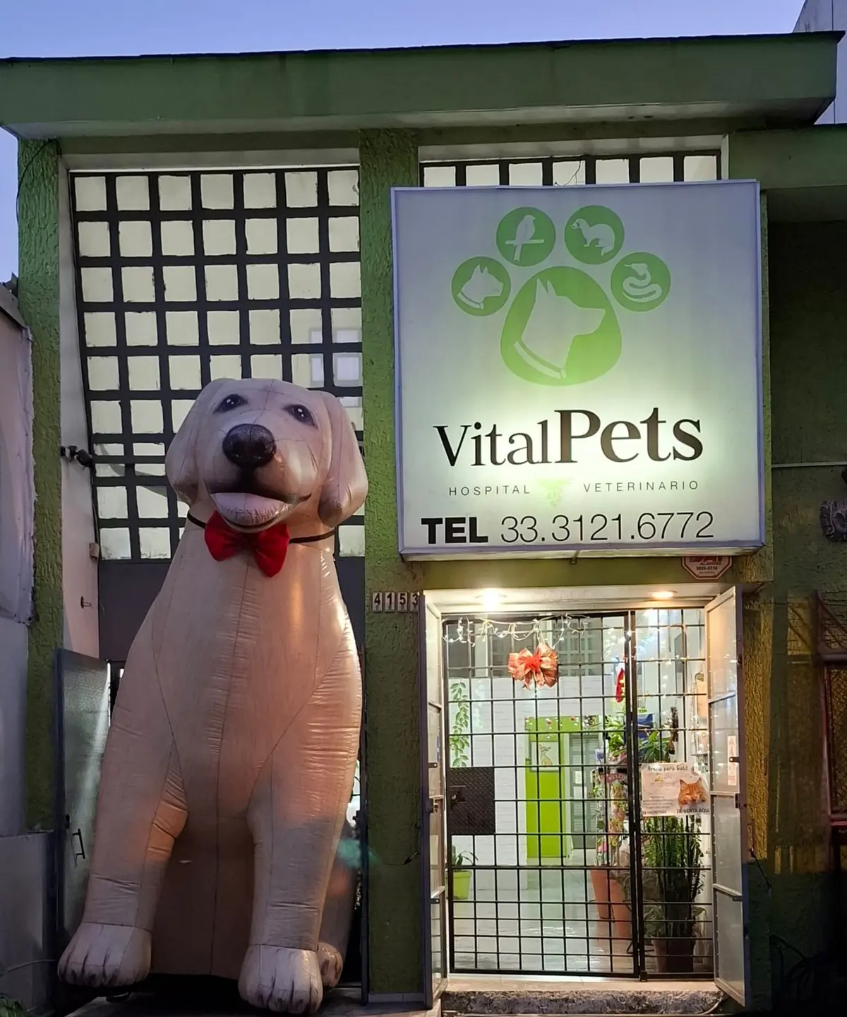 Hospital Veterinario VitalPets — foto 3 de 3