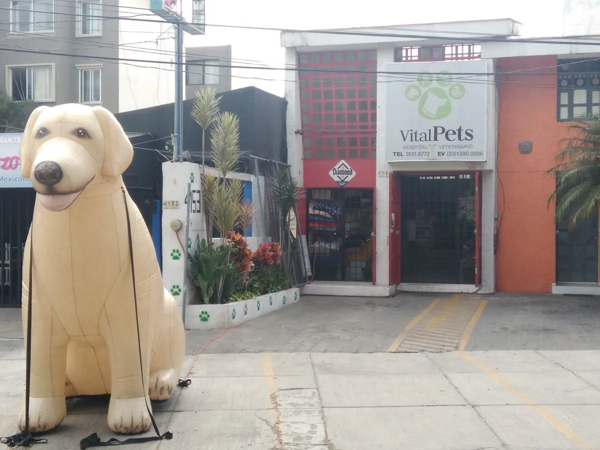 Hospital Veterinario VitalPets — foto 2 de 3