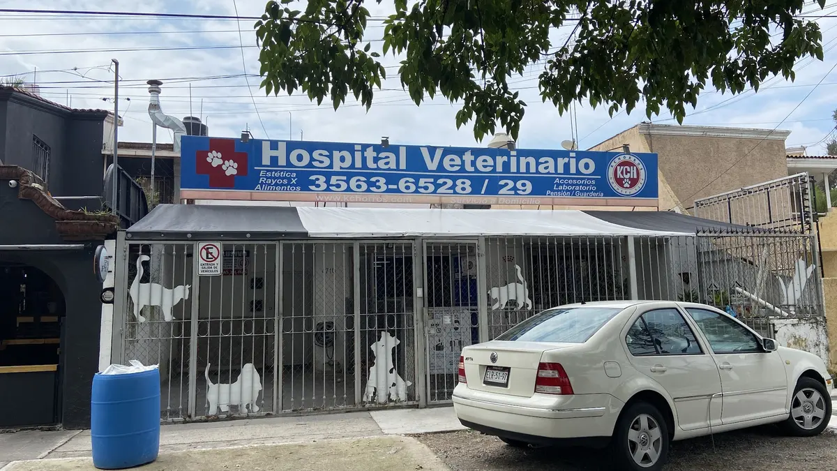 Kchorros Hospital Veterinario