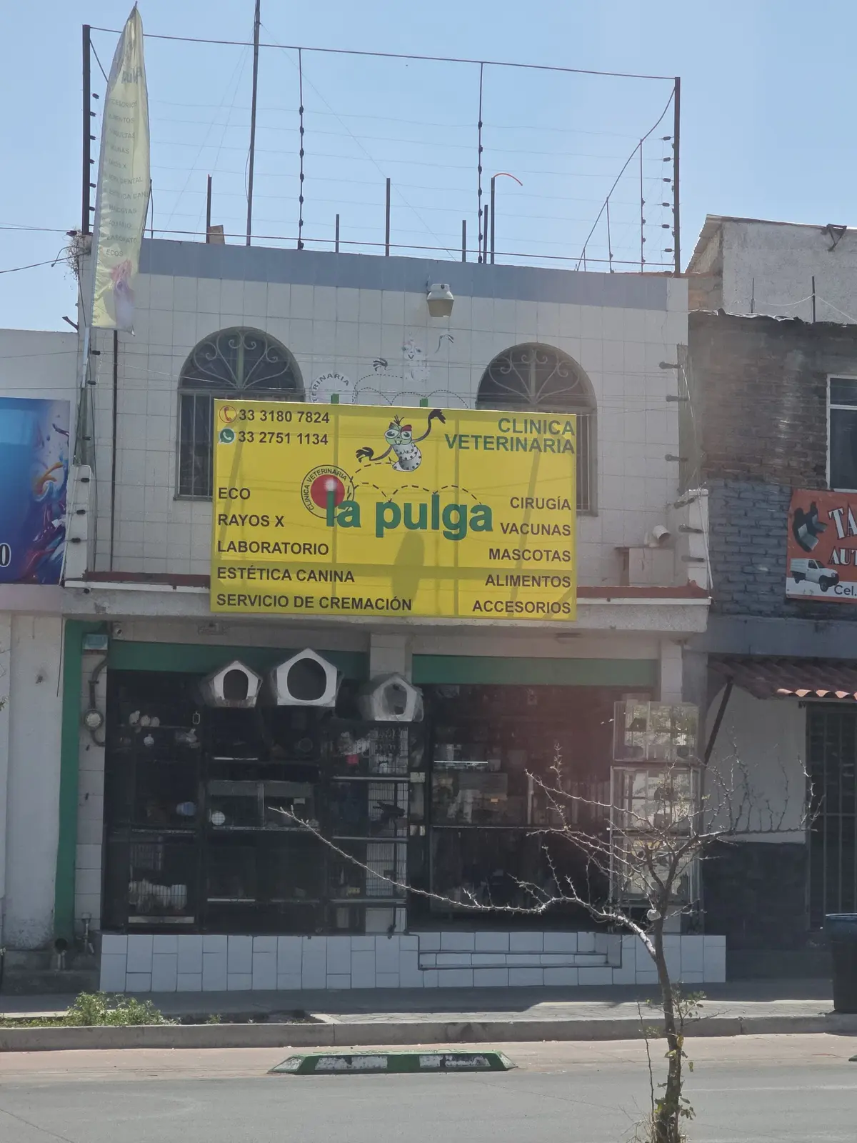 La Pulga