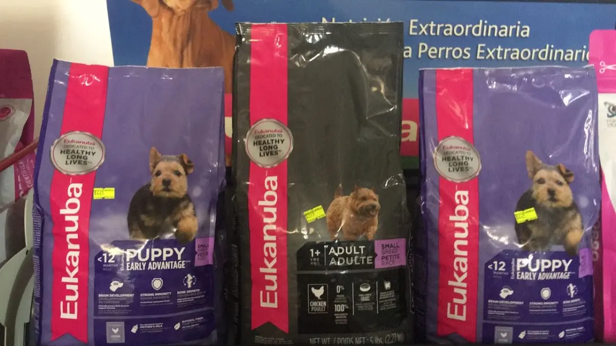 Mascotas Morelia - Veterinaria en Apatzingan