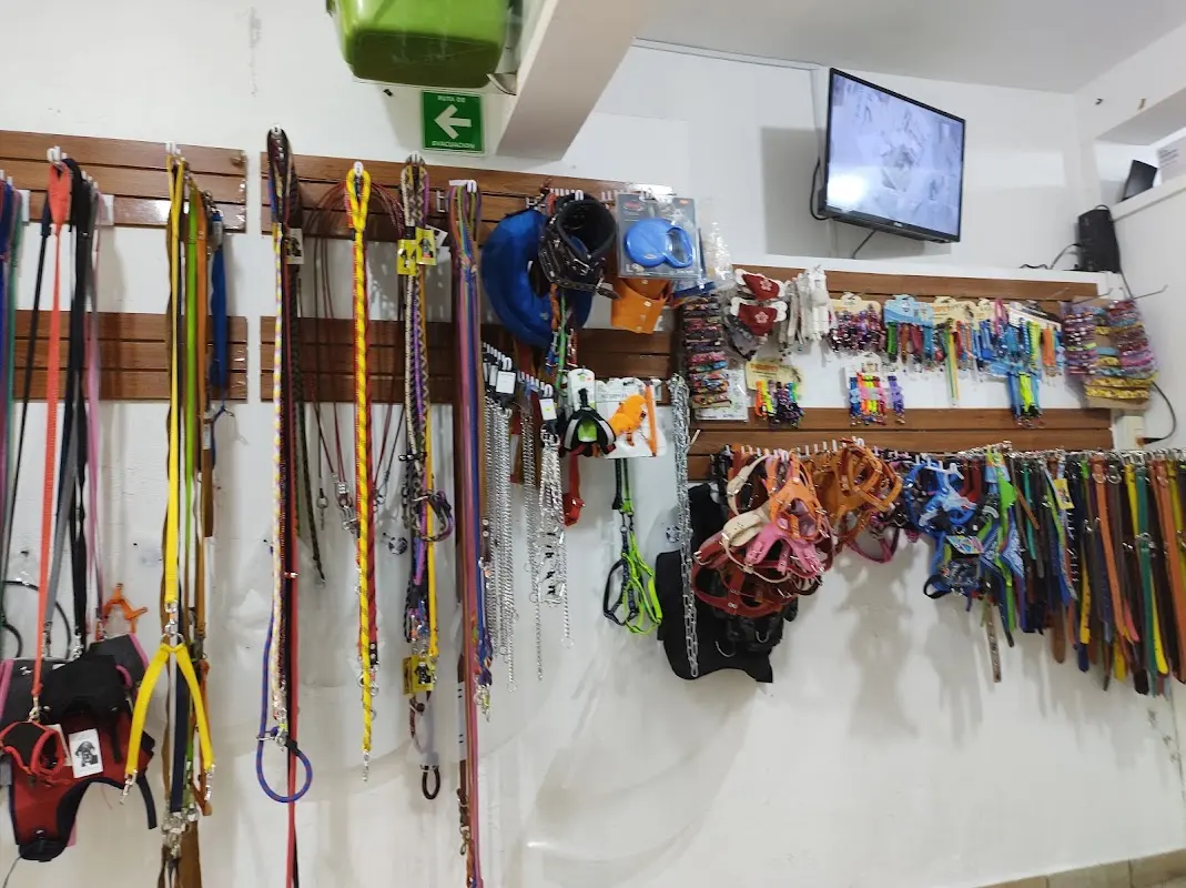 San José Clínica Veterinaria
