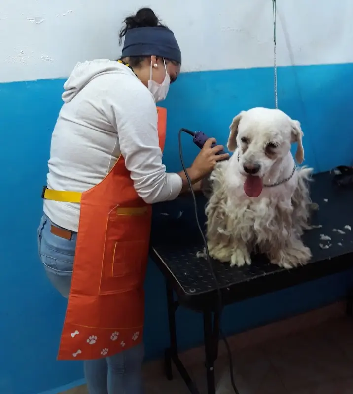 Veterinaria Huellitas PetFriends