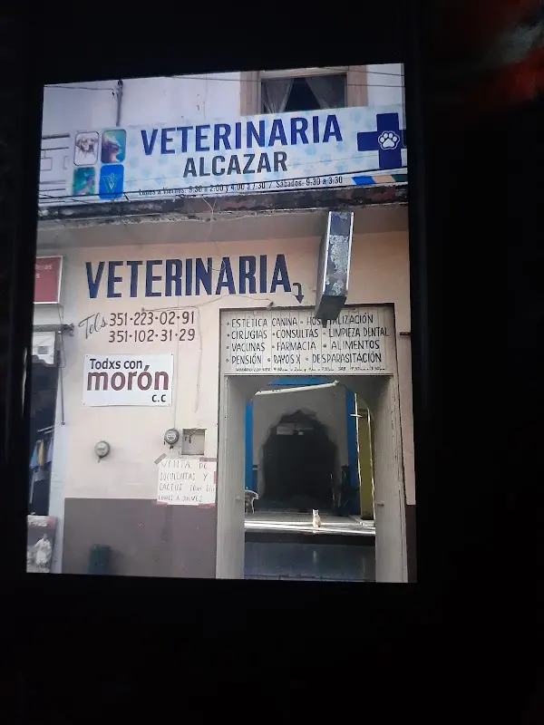 Veterinaria alcazar