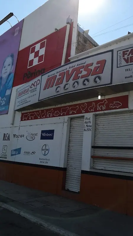 Mavesa