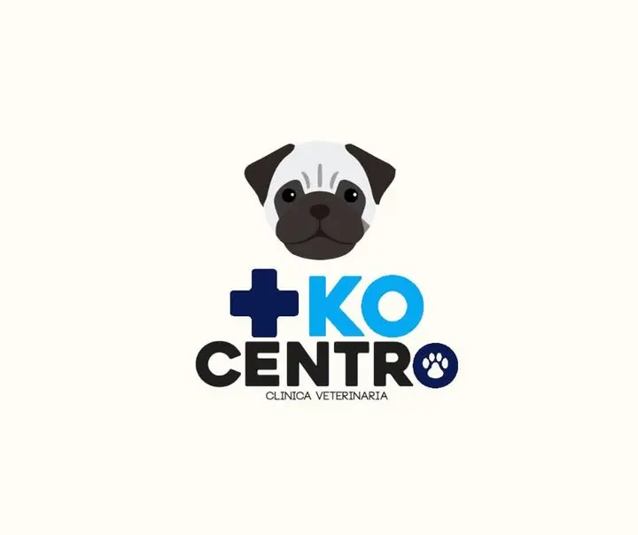 +Ko Centro