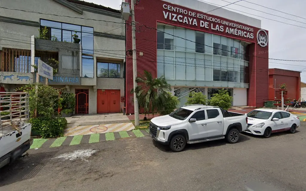 Veterinaria Y Mascotas