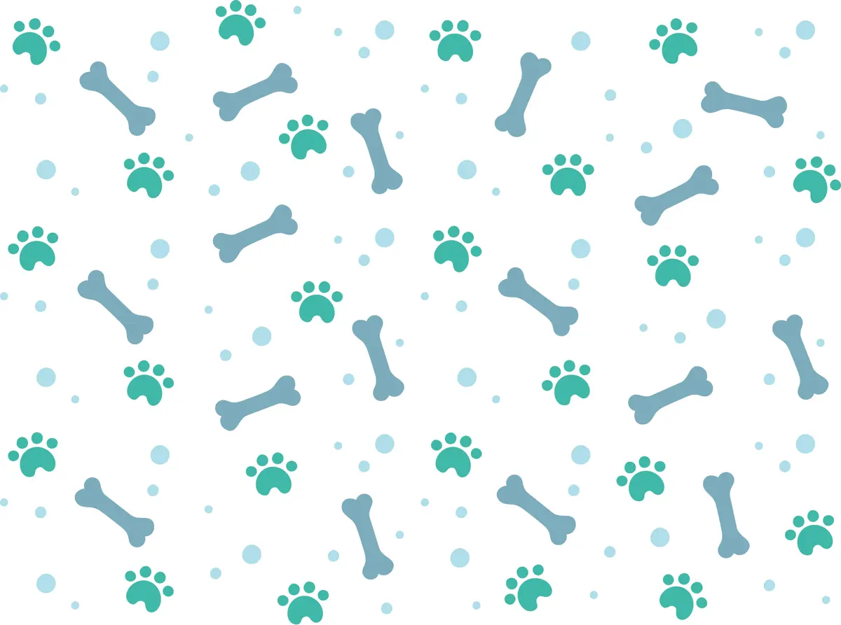 Clinica Veterinaria Medicavet De Especialidad En Perros Y Gatos