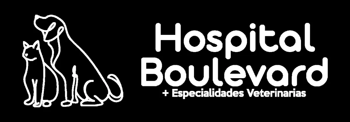 Hospital Boulevard Especialidades Veterinarias