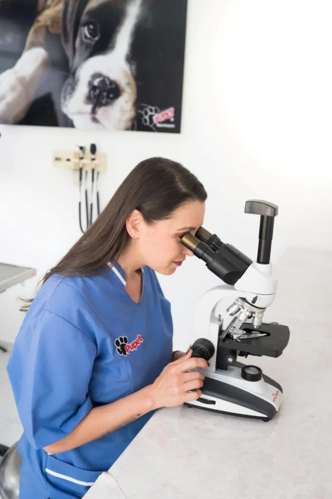 Hospital Estética veterinaria Pupet — foto 4 de 4