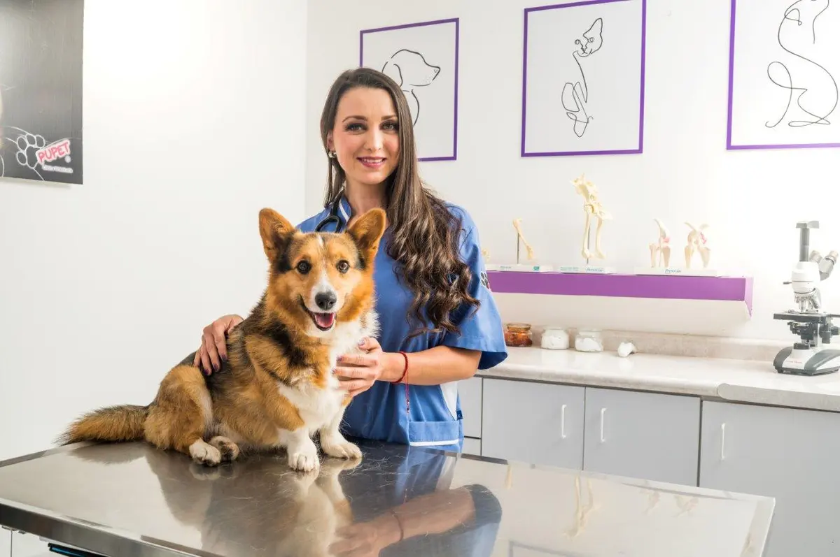 Hospital Estética veterinaria Pupet