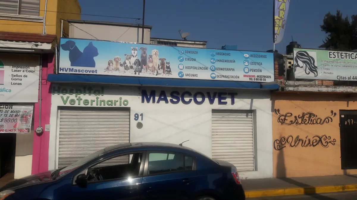 Hospital Veterinario Mascovet — foto 2 de 3