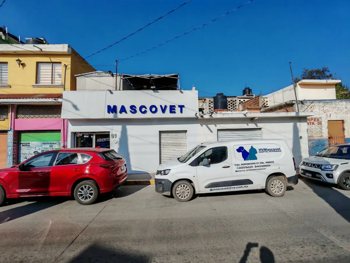 Hospital Veterinario Mascovet