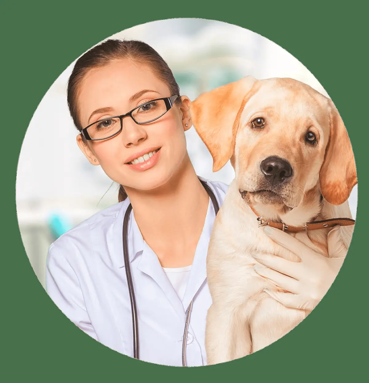 KANNEZ - Clínica Veterinaria Morelia — foto 4 de 4