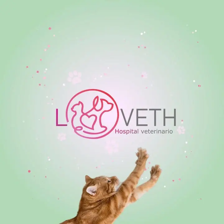Loveth Hospital Veterinario