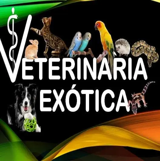 Veterinaria Exótica