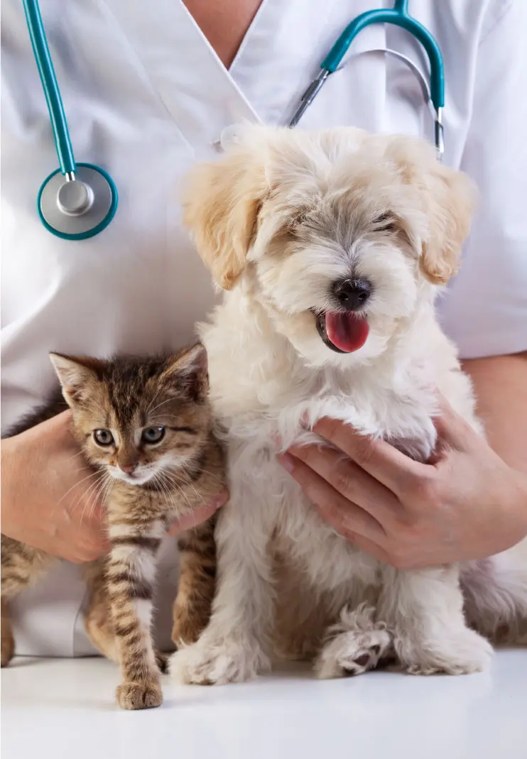 Veterinaria Servicentro — foto 2 de 4