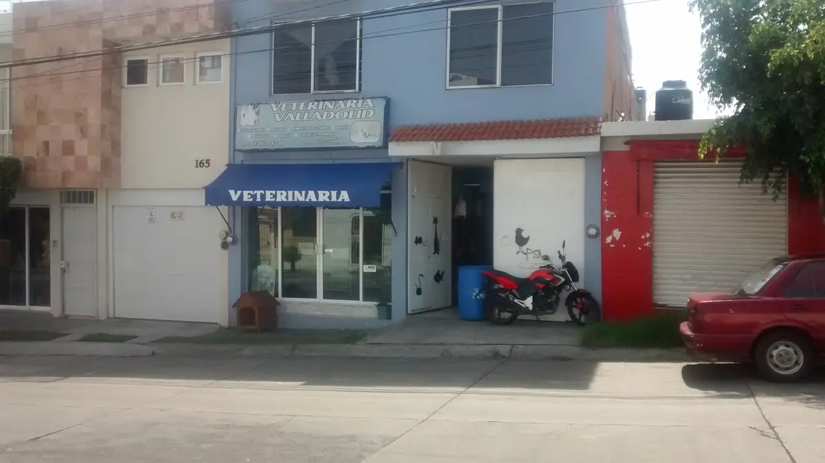 Veterinaria Valladolid