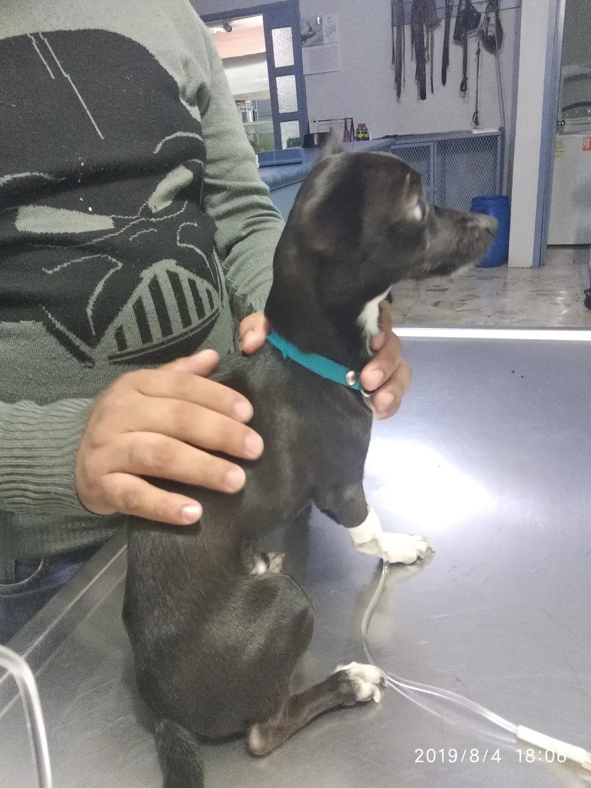 Veterinaria Valladolid — foto 2 de 2