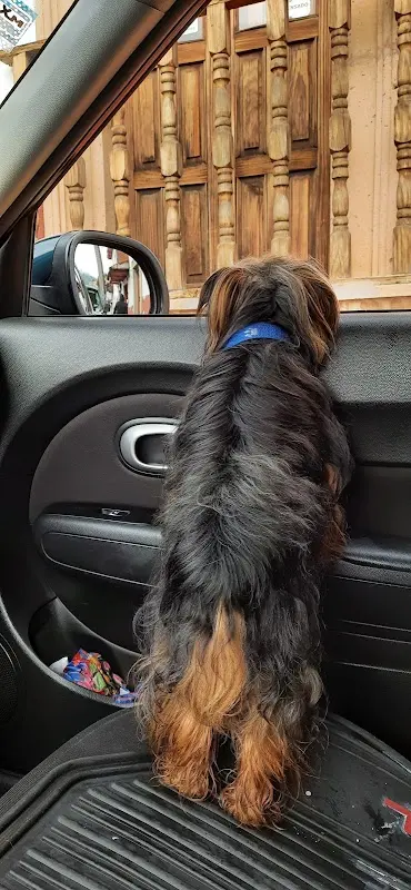 Woof Clínica Veterinaria