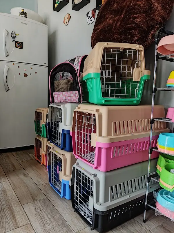 Dogtor Jamn Clínica Veterinaria