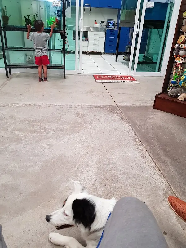 VETCENTER SAHUAYO