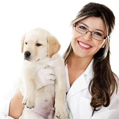 Centro Veterinario Integral El Mosri — foto 2 de 4