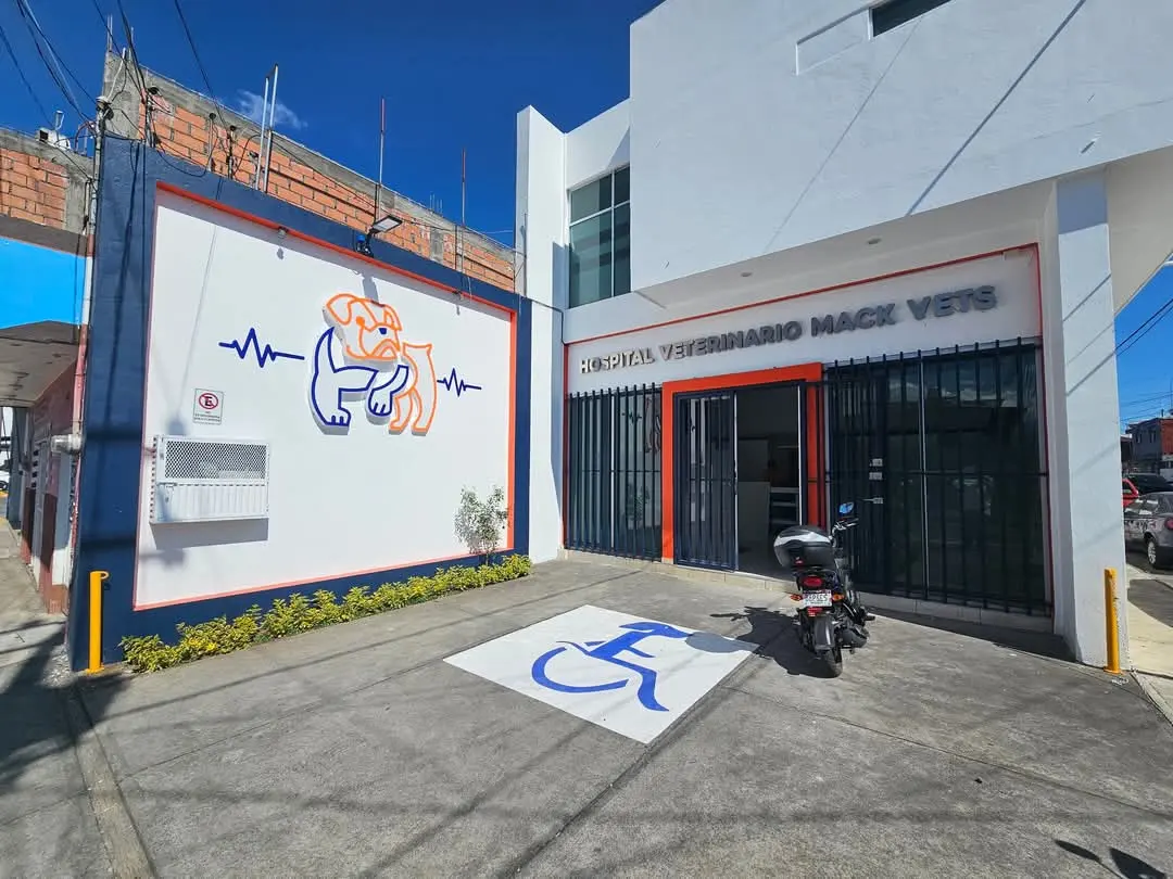 HOSPITAL VETERINARIO MACK VETS