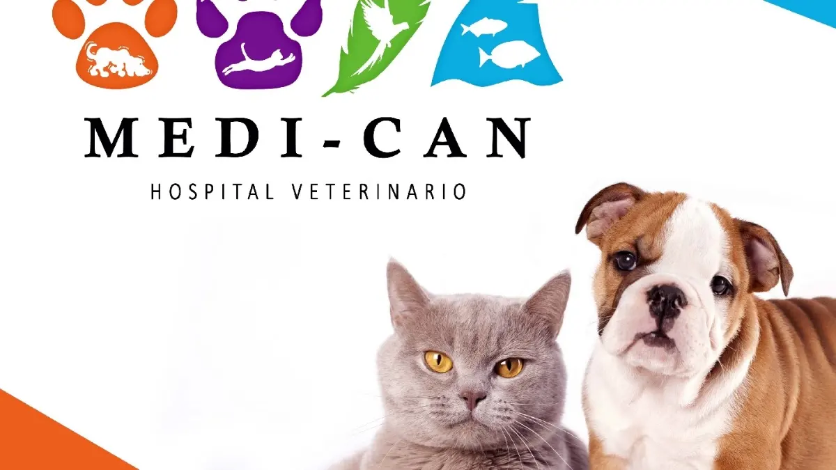 Veterinaria Medi-can