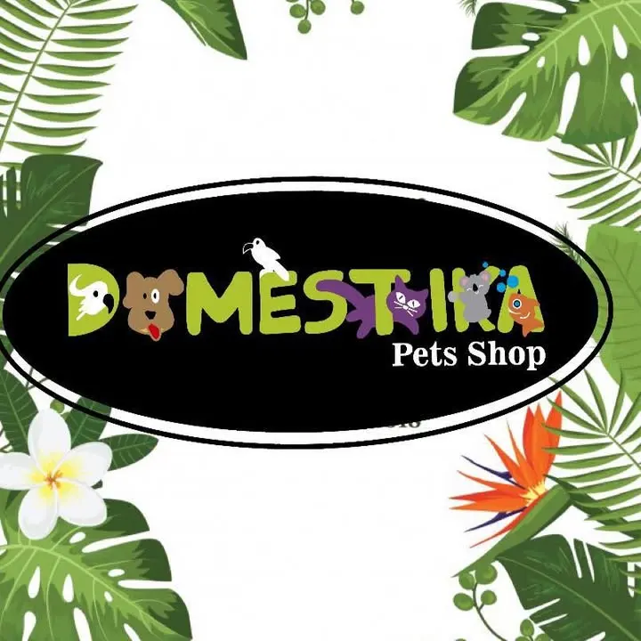 Tienda de mascotas Domestika