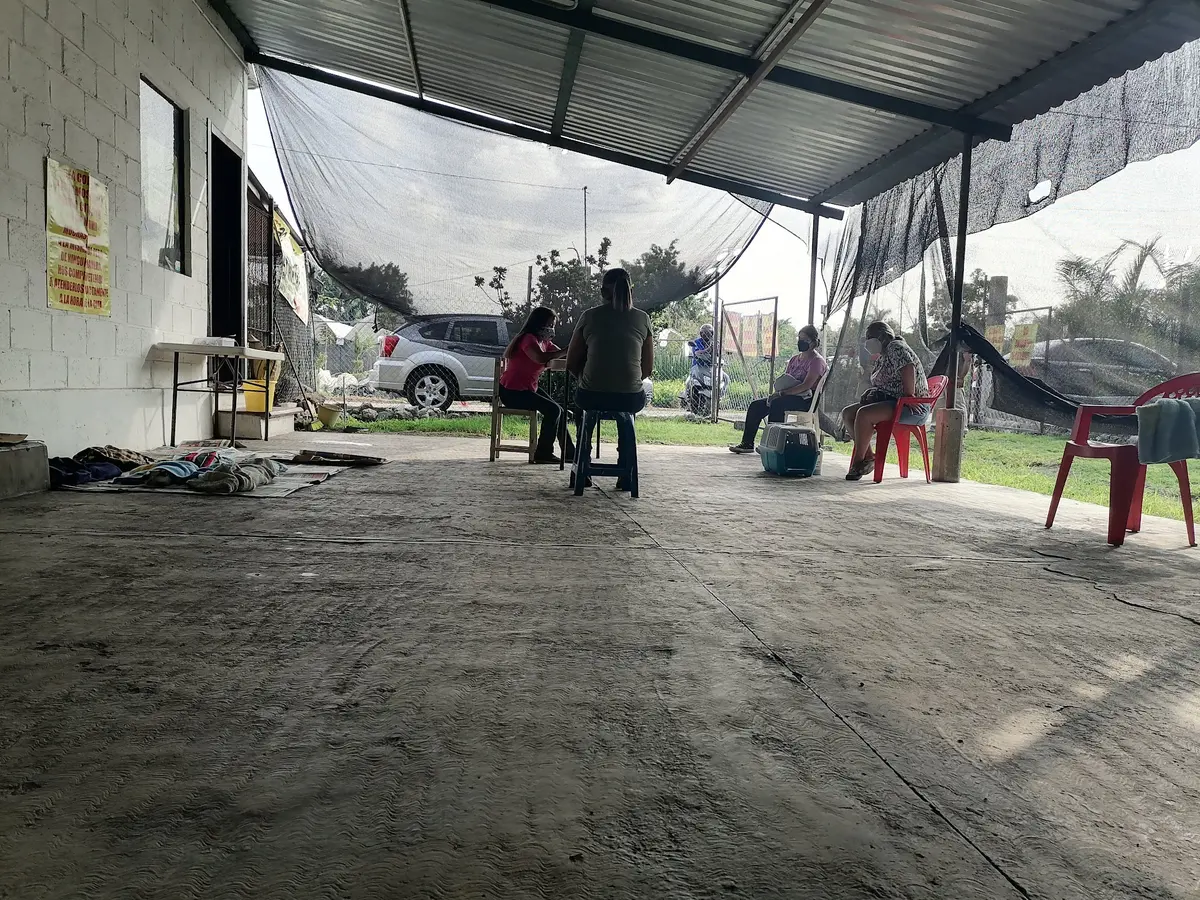 AMAC (Amigos de los Animales de Cuautla)