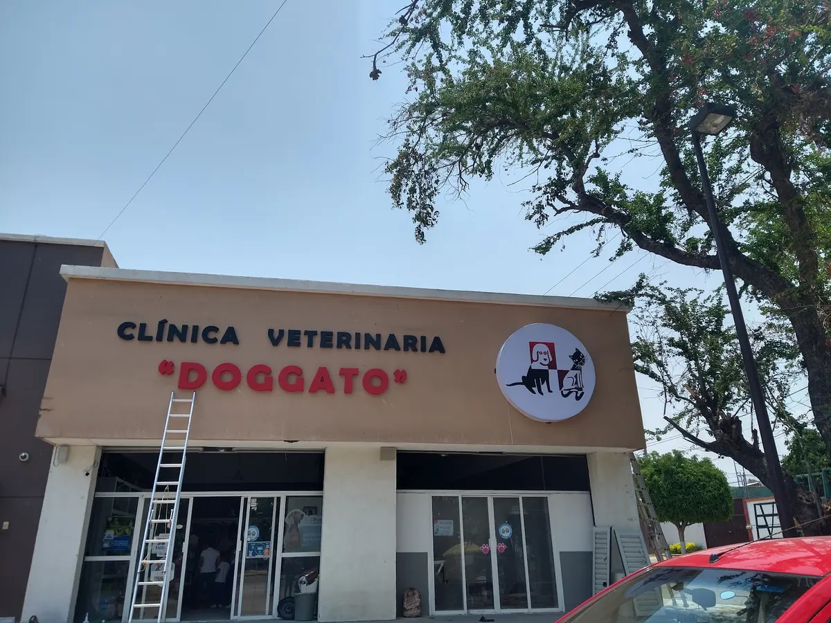 Veterinaria Doggato