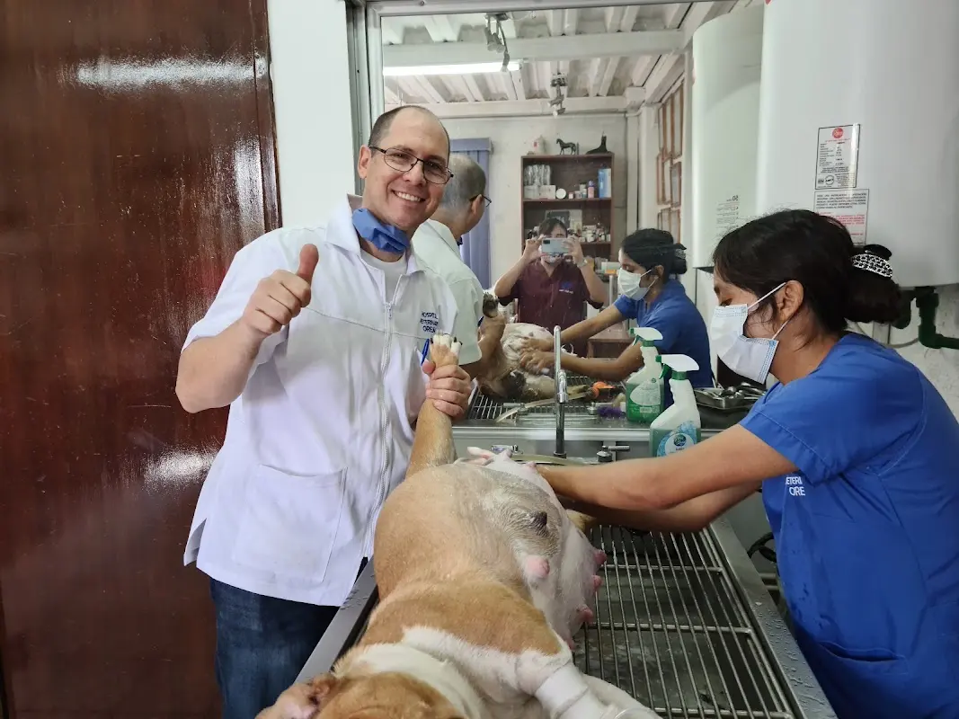 Hospital Veterinario Orejas — foto 5 de 5